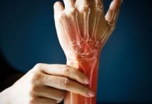 Nutrition and Athlete Bone Health