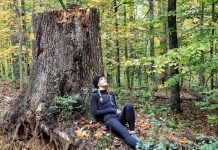 Forest Bathing: What It Is and Its Potential Benefits